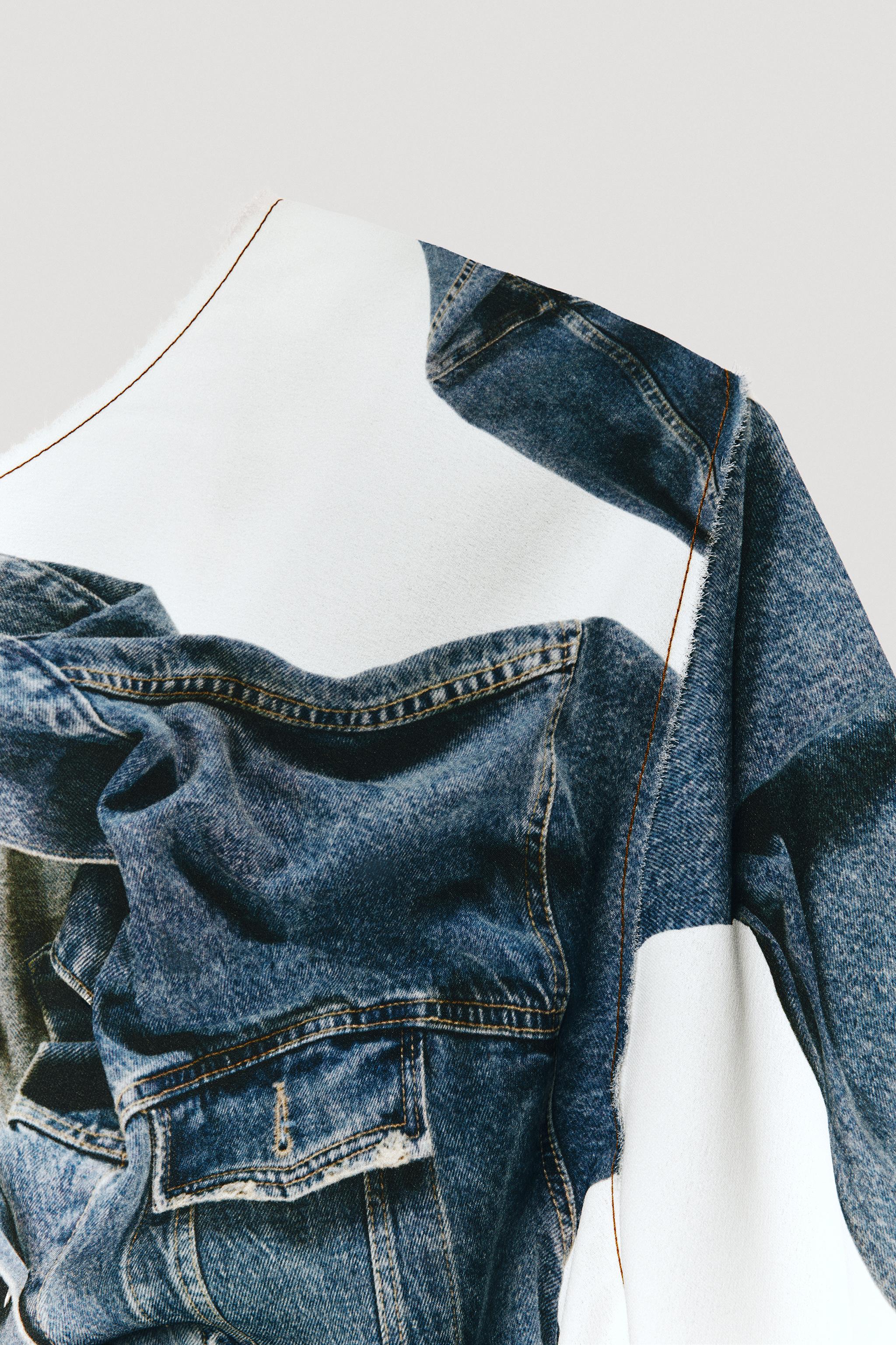 LIMITED EDITION DENIM PRINT DRESS